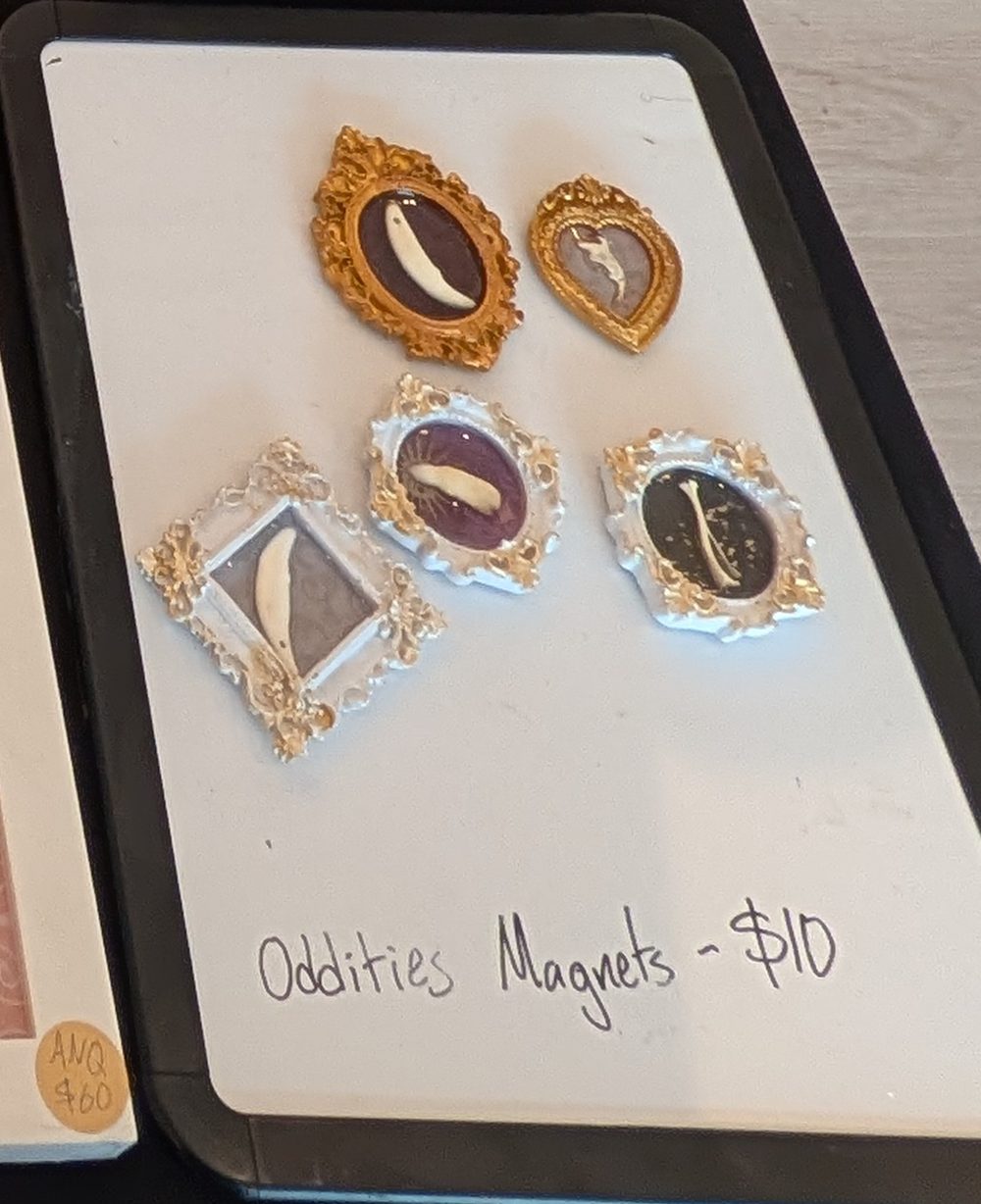 Six framed specimen magnets in ornate gold and silver frames on a white board hand-lettered Oddities Magnets - $10.